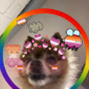 Meet your Posher, Noelani